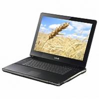 Ремонт Sony VAIO VGN-AR320E в Королёве 